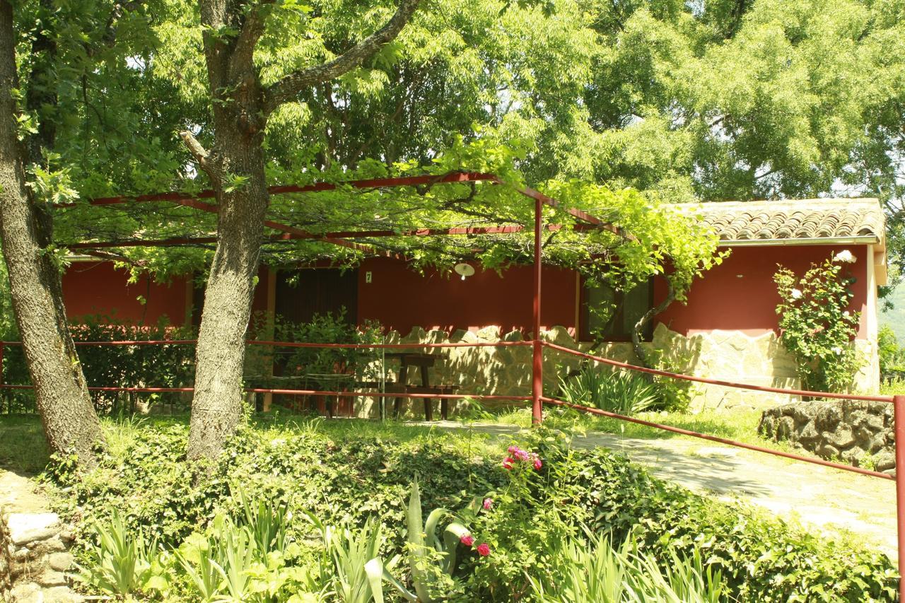 Camping El Pinajarro Hervás Екстериор снимка