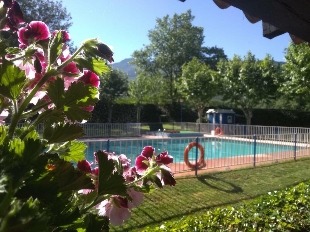 Camping El Pinajarro Hervás Екстериор снимка