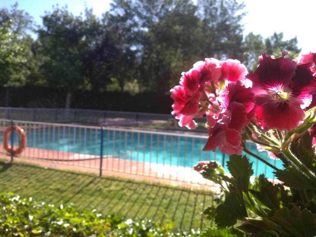 Camping El Pinajarro Hervás Екстериор снимка